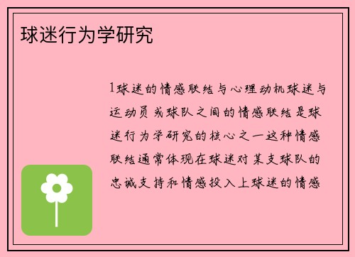 球迷行为学研究